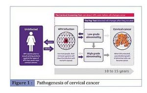 Cervical Cancer Screening - CodeBlue