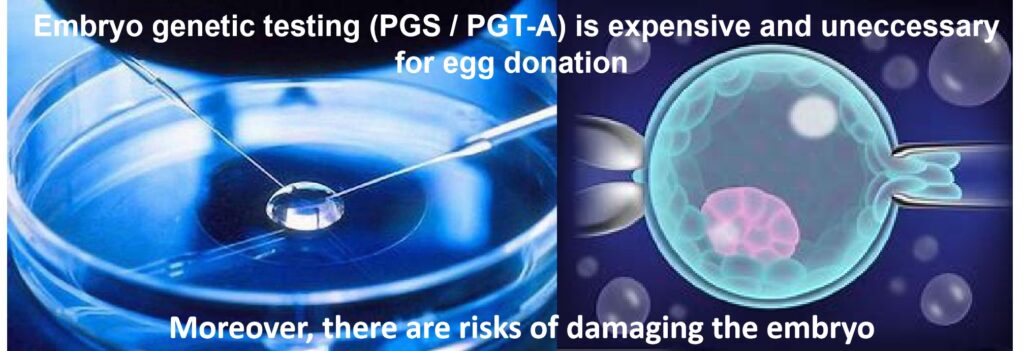 egg-donation-in-malaysia-pitfalls-that-ivf-patients-should-avoid-dr
